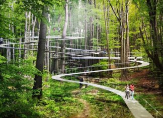 Istambul criará um parque para caminhar na altura das árvores