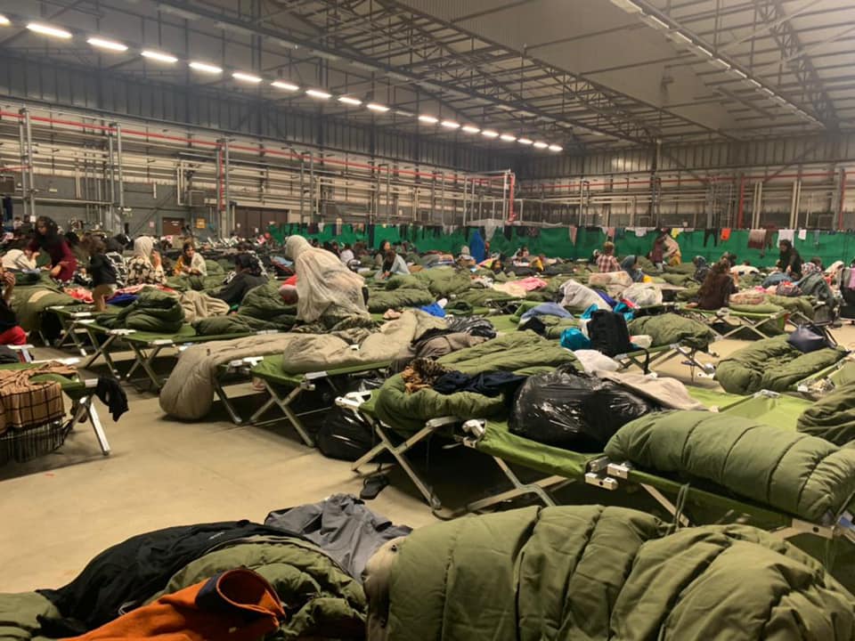 asomadetodosafetos.com - Ex-militar pretende sair de Cabul com centenas de animais que cuidava num abrigo