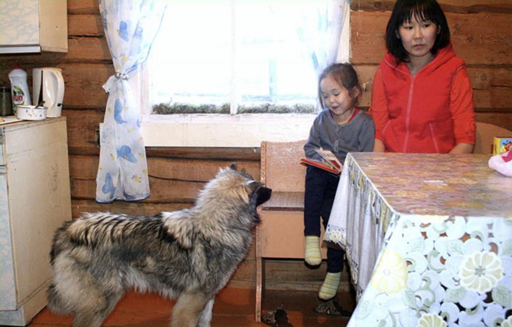 asomadetodosafetos.com - Garotinha de 3 anos sobrevive 9 dias na floresta graças a ajuda de um cão