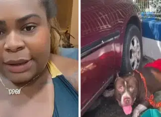 Jojo Todynho adota cachorro que já possuía dono e se recusa a devolvê-lo: “Rala”
