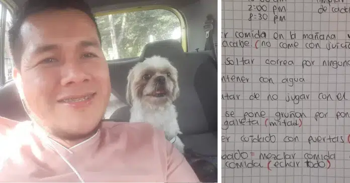 Motorista encontra cãozinho abandonado junto de bilhete no banco de trás de seu táxi