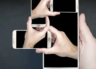 Como A Sociedade Evoluiu O Jogo Do Bicho No Mundo Digital