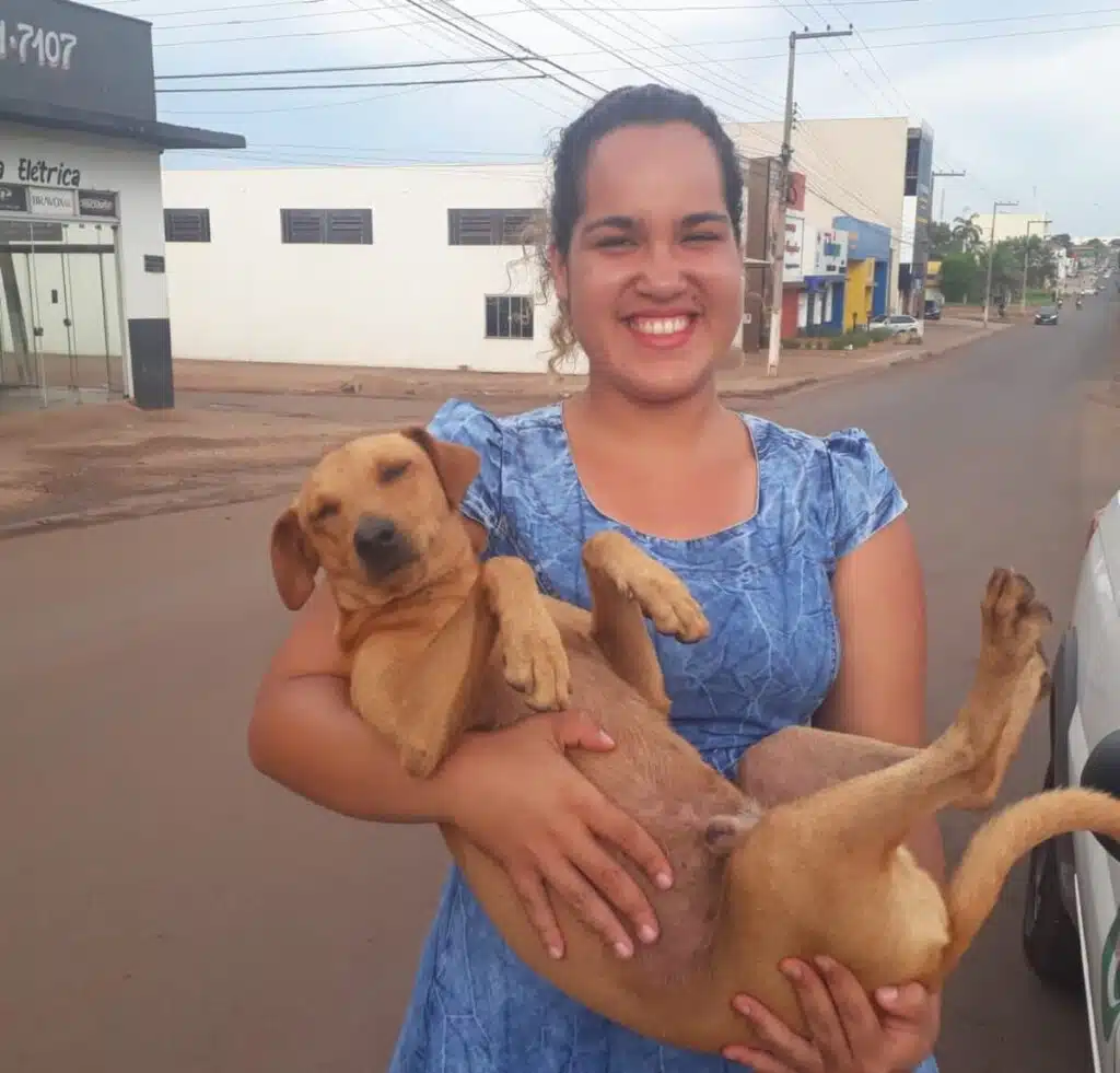 asomadetodosafetos.com - Cãozinho fiel espera por quase 7 horas na porta da escola em que sua dona fazia Enem