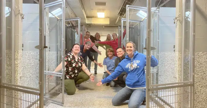 Abrigo de animais fica vazio pela primeira vez em 47 anos: “Verdadeiro milagre”