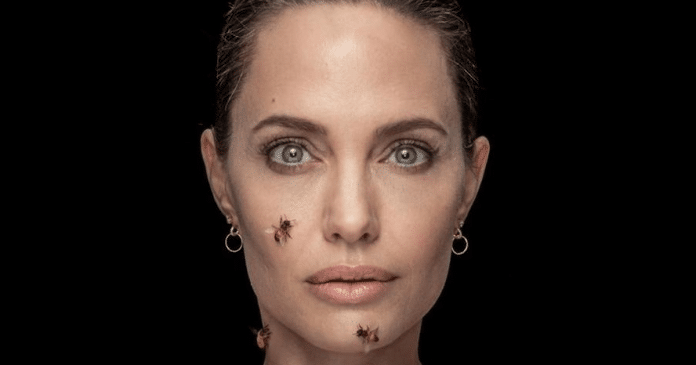 Angelina Jolie revela experiência única que a fez ficar sem tomar banho durante 3 dias