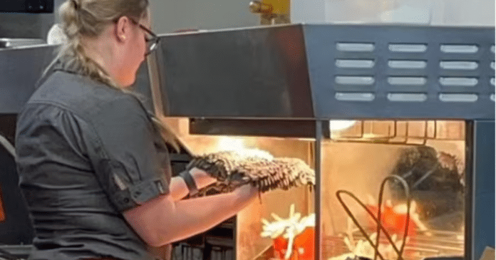 Funcionária do McDonald’s é flagrada secando esfregão sujo em aquecedor de batatas fritas