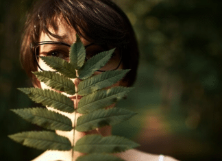 Você já ouviu falar do “banho de floresta”? Conheça os benefícios dessa prática