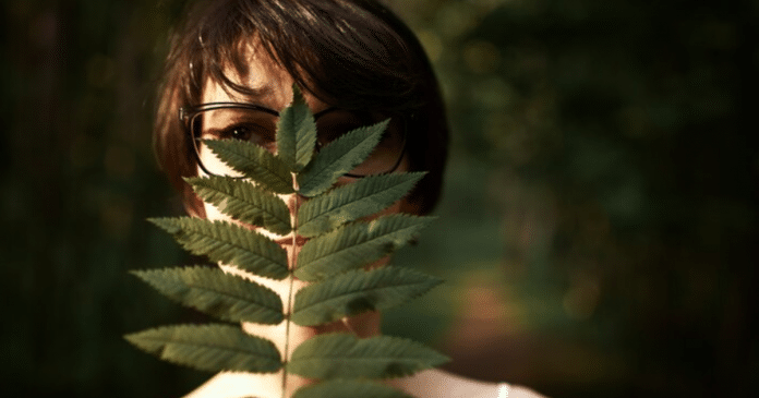 Você já ouviu falar do “banho de floresta”? Conheça os benefícios dessa prática