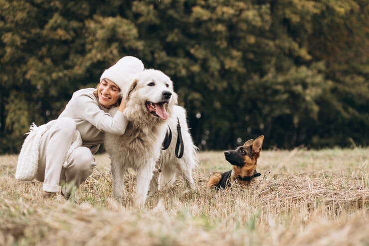 asomadetodosafetos.com - A nova era dos cães: Ciência confirma mudanças surpreendentes na evolução canina!